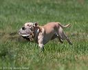 20150801-lrcgb-1179