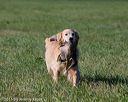 20150912-shrl-0137