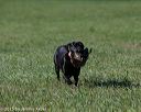 20150912-shrl-0178
