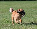 20150912-shrl-0199