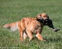20150912-shrl-0203