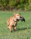 20150912-shrl-0208