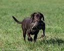 20150912-shrl-0269