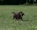 20150912-shrl-0284