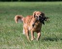 20150912-shrl-0393