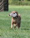 20150912-shrl-0401