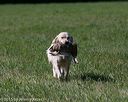 20150912-shrl-0500