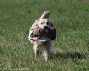 20150912-shrl-0503
