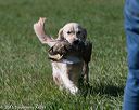 20150912-shrl-0505