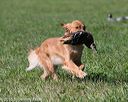 20150912-shrl-0510