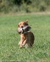 20150912-shrl-0516