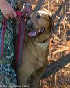 20150912-shrl-0609