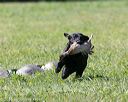20150912-shrl-0665