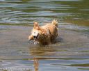 20150912-shrw-0136