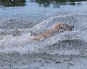 20150912-shrw-0217