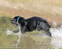 20150912-shrw-0598