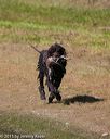 20150912-shrw-0675