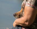 20150912-shrw-1036