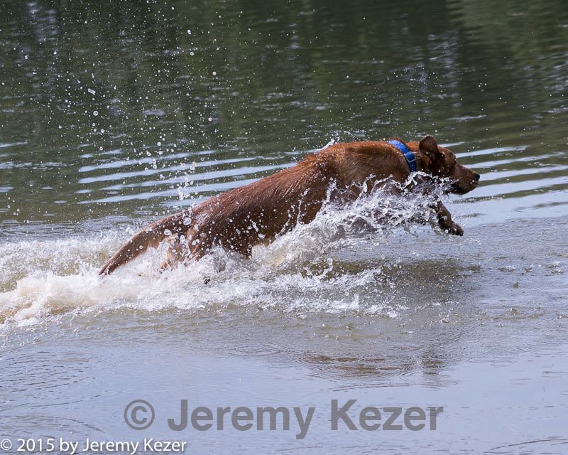 20150912-shrw-0313.jpg