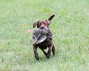 20150913-seal-0063