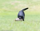 20150913-seal-0082