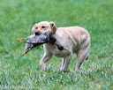 20150913-seal-0146