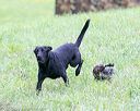 20150913-seal-0162