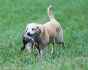 20150913-seal-0249