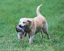 20150913-seal-0253