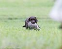 20150913-seal-0274