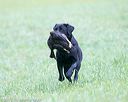 20150913-seal-0359