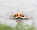 20150913-seaw-0019