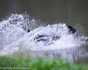 20150913-seaw-0052