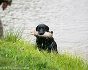 20150913-seaw-0067