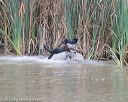 20150913-seaw-0097