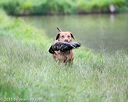 20150913-seaw-0179