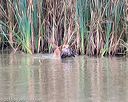 20150913-seaw-0192