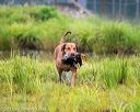 20150913-seaw-0203