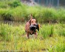20150913-seaw-0204
