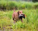 20150913-seaw-0208