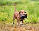 20150913-seaw-0210