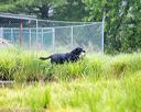 20150913-seaw-0294