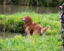 20150913-seaw-0341
