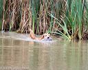 20150913-seaw-0353