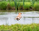 20150913-seaw-0406