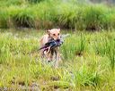 20150913-seaw-0411