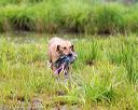 20150913-seaw-0413