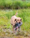 20150913-seaw-0415