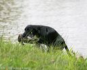 20150913-seaw-0432