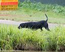 20150913-seaw-0438